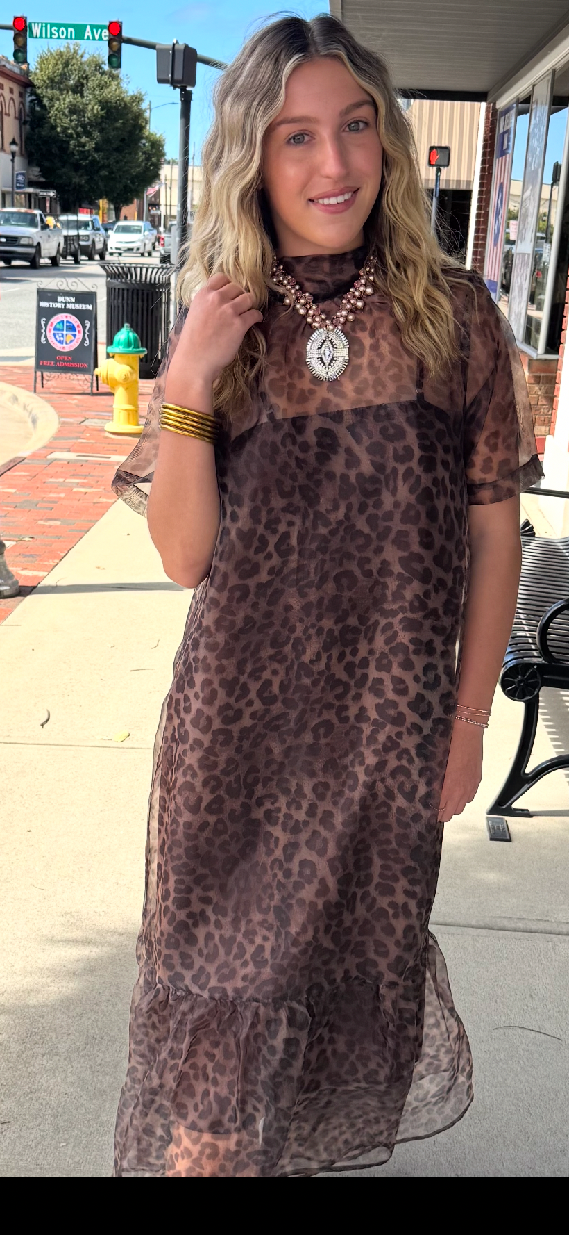 ENTRO SLIP DRESS WITH ANIMAL PRINT CHIFFON OVERLAY DRESS